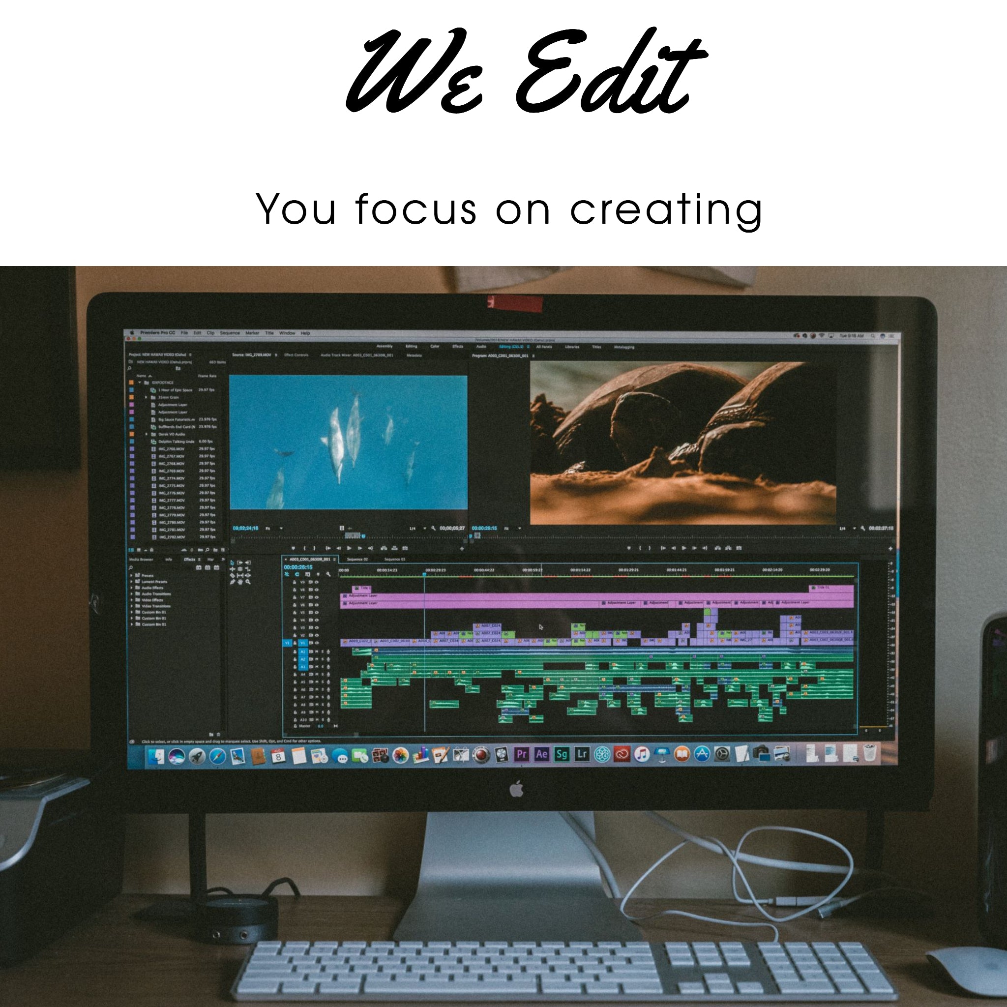 Video Editing  (Monthly Subscription Basic)